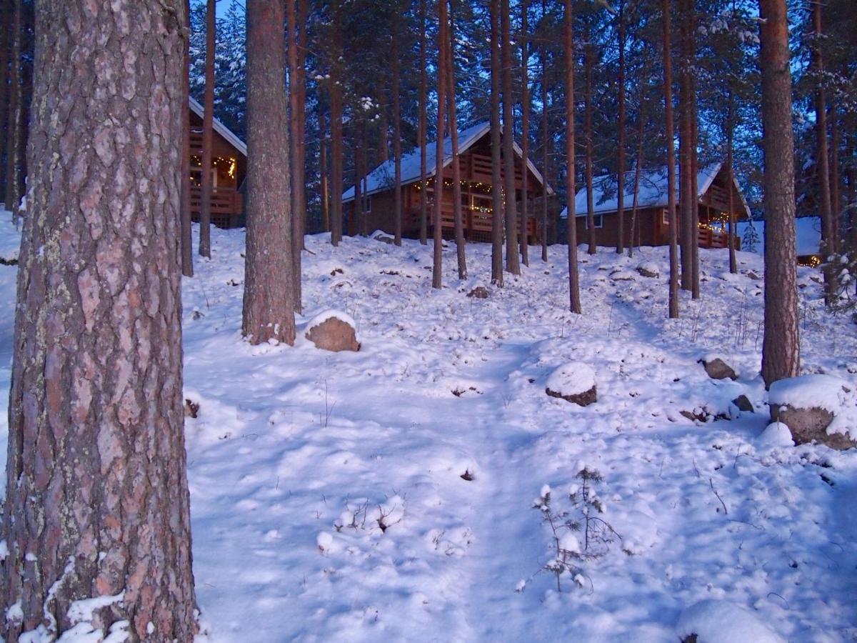 Villa Koskenselaen Lomakylae Puumala Exterior foto